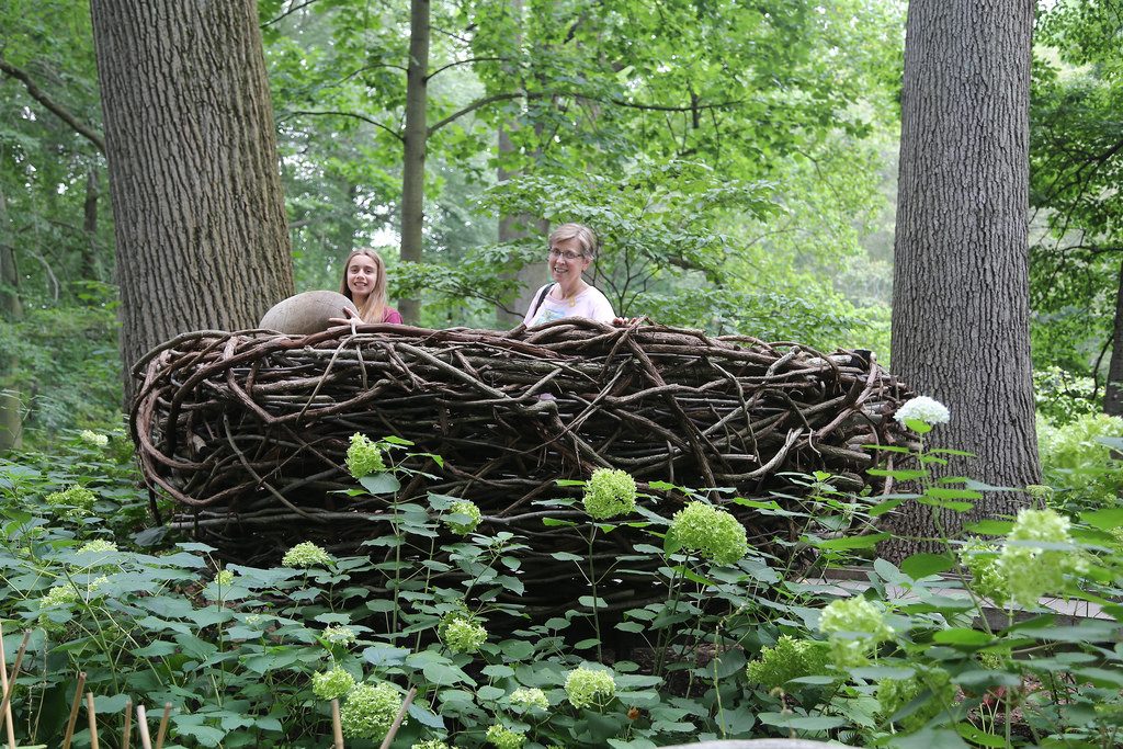 giant bird nest